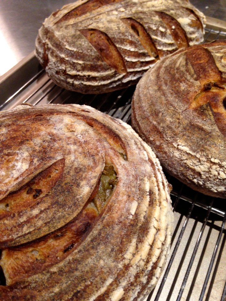 Green and black olives with thyme