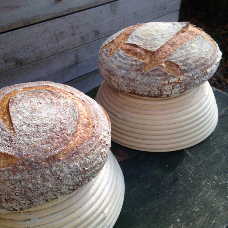 Semolina and sesame loaves perched on bannetons
