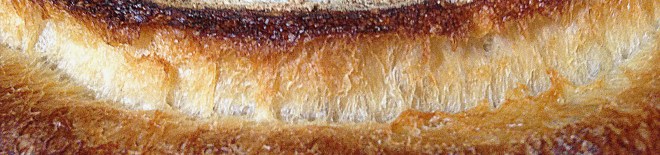 IMG_3468_EDIT_Banner